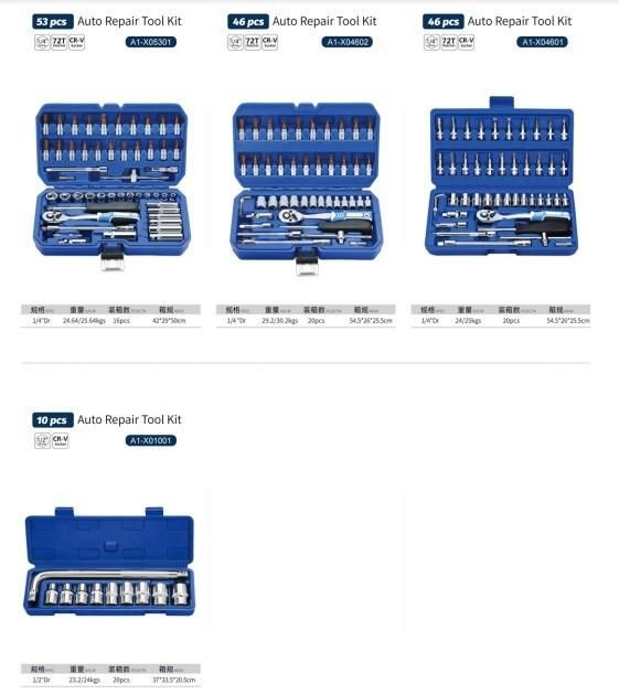 53PCS Auto Repair Tool Kit A1-X05301