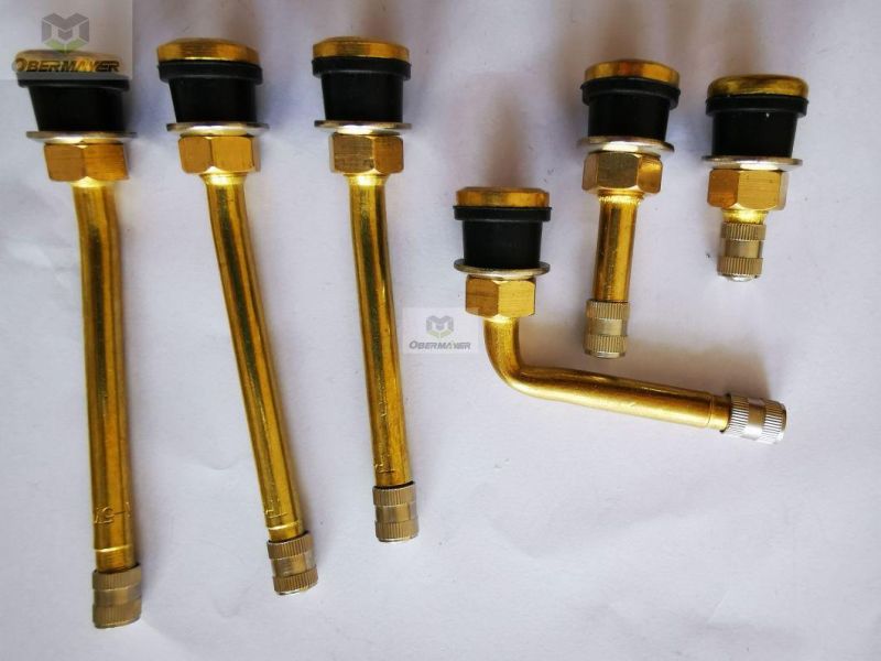 Tr572 High Strength Clamp in Brass 27° /90° / Straight Tubeless Tire Valves for Truck Bus