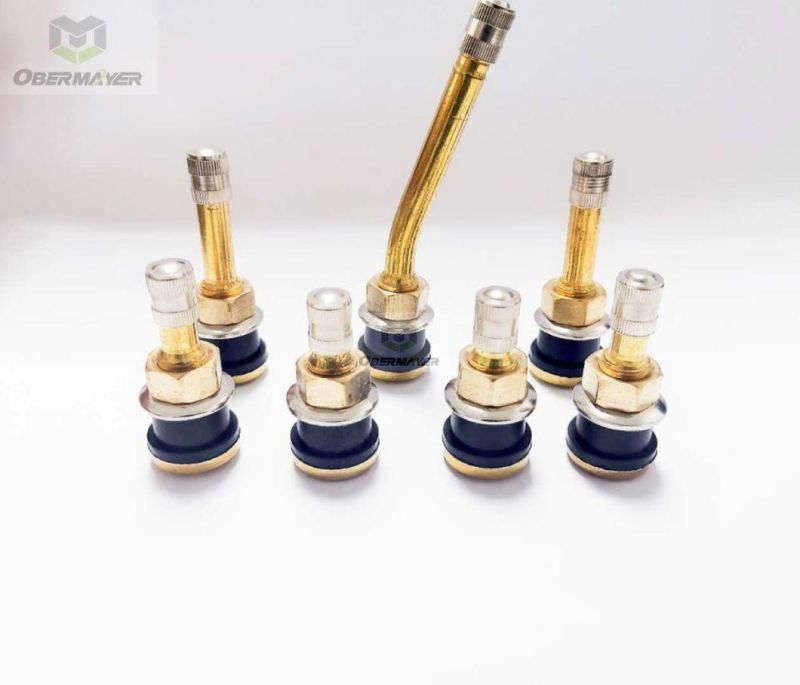 Tr572 High Strength Clamp in Brass 27° /90° / Straight Tubeless Tire Valves for Truck Bus