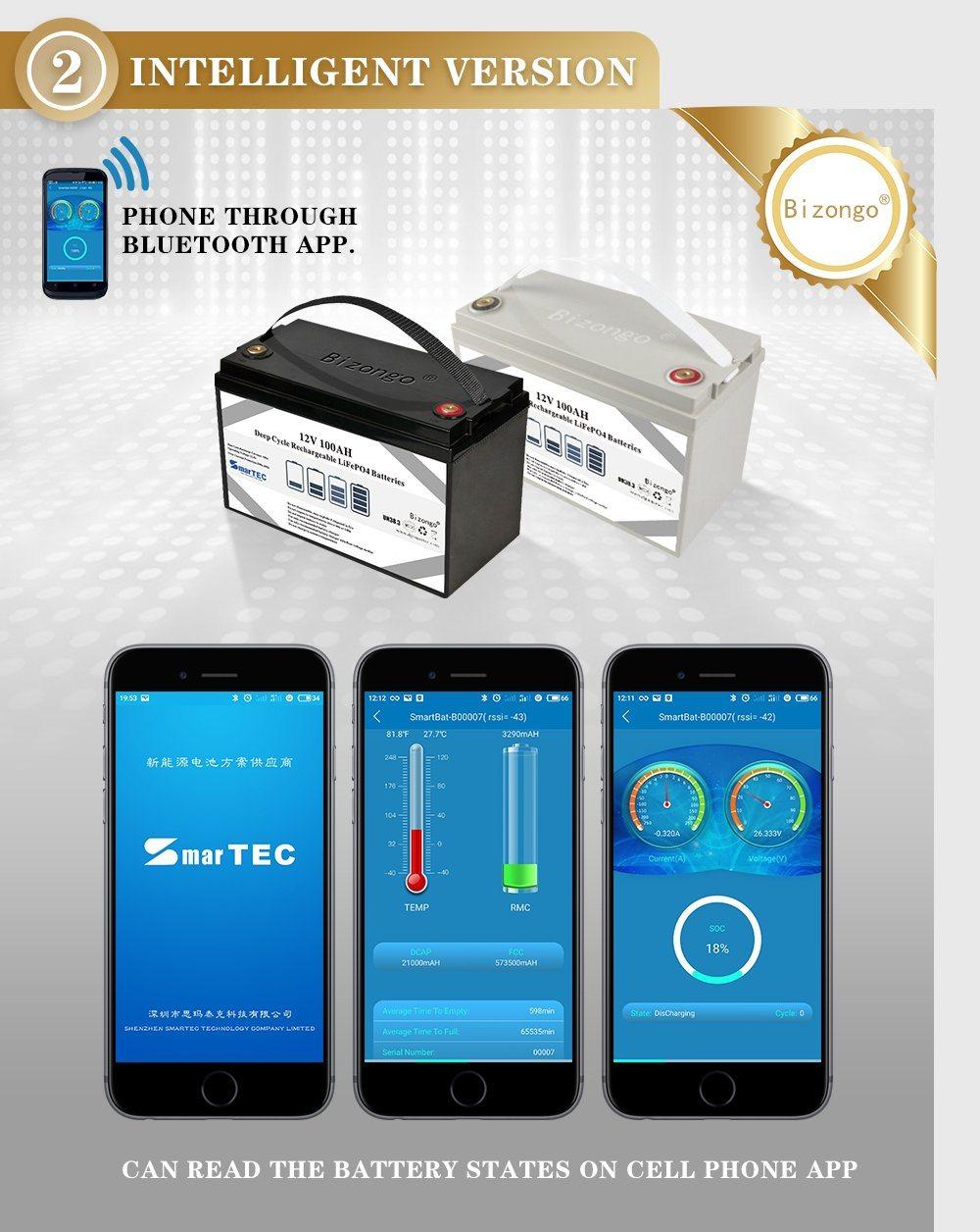 Smartec OEM/ODM Available 4s LiFePO4 BMS 12V 100A/120A/150A/200A Smart BMS with Bt/Uart/RS485 and Temperature