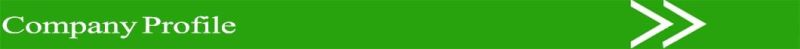High Quality China Dry Type Car Painting Equipmen Paint Booth