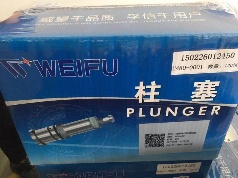 Wholesale Plunger Diesel Fuel Pump Parts X170s Weifu Fits for HOWO