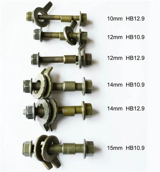 High Quality Eccentric Screw for Wheel Alignment 10/12/13/14/14.2/15/16/17 for Auto Tools