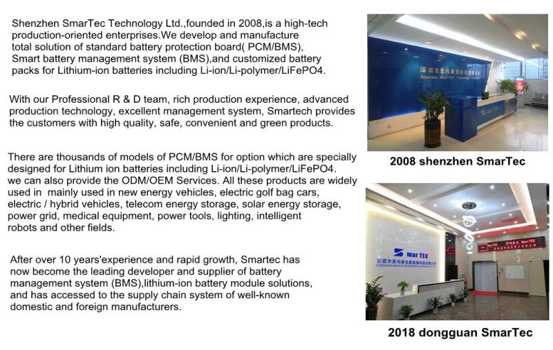 Shenzhen Smartec PCBA 15s 40A 50A 60A Lto LiFePO4 BMS for Li-ion Battery