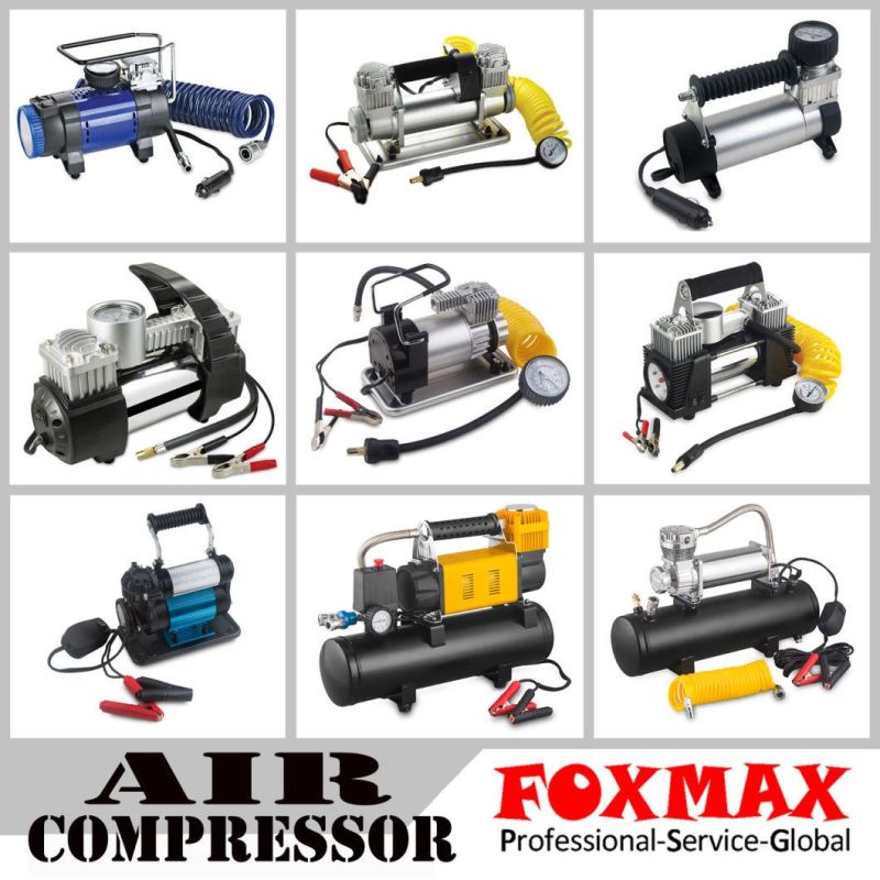 Heavy Dugy 12V Air Compressor&300L/M (FM-AC300)