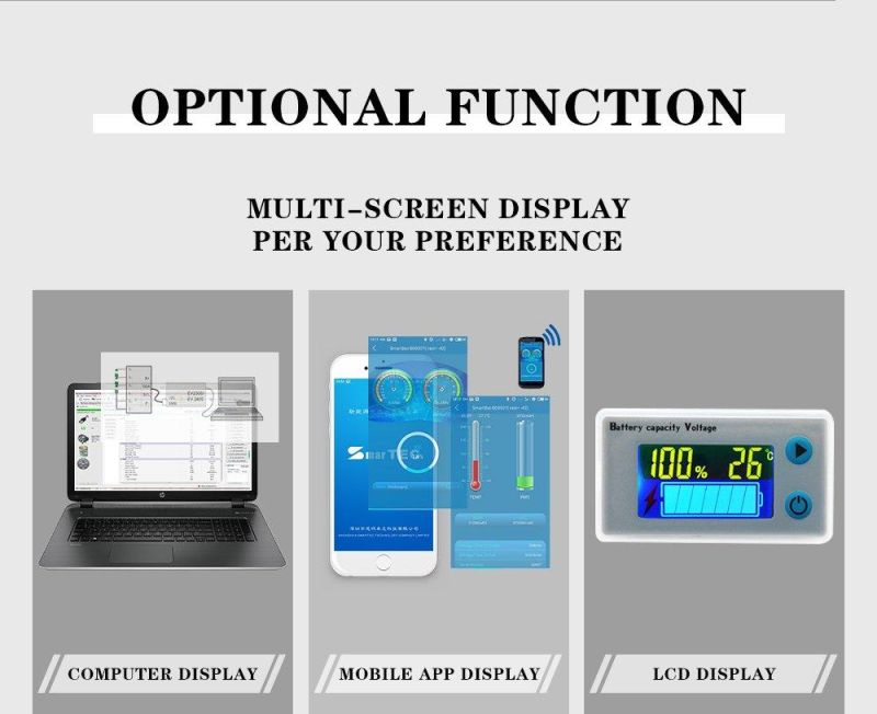 Smart BMS 4s 8s 10s 12s 14s 15s for LiFePO4 Battery 12V 24V 100A/120A/150A/200A with Bt/Uart/RS485/Canbus/Smbus and Cell Balance Function