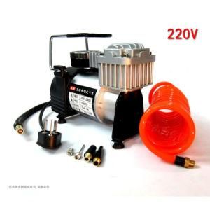 AC Air Compressor Fs220ds 110V 220V Portable Mini Car Air Compressor