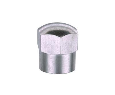 SVC-13 Brass Valve Cap