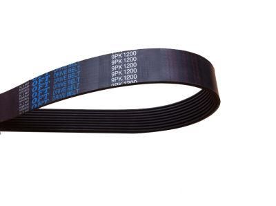 Ribber Belt Pk Belt