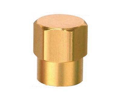 SVC-01b Valve Cap