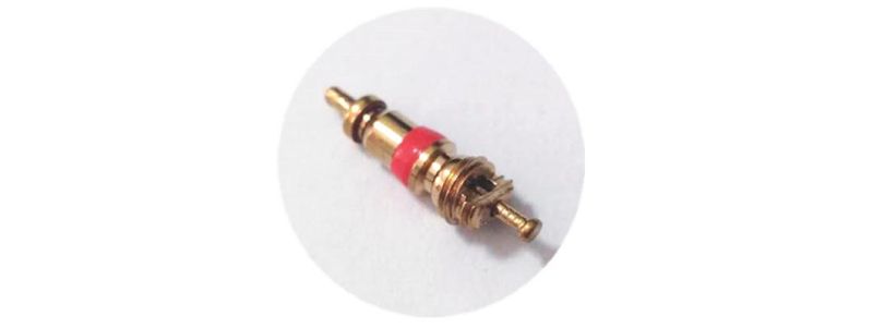 Tubeless Tire Metal Valve Tr509 for Auto