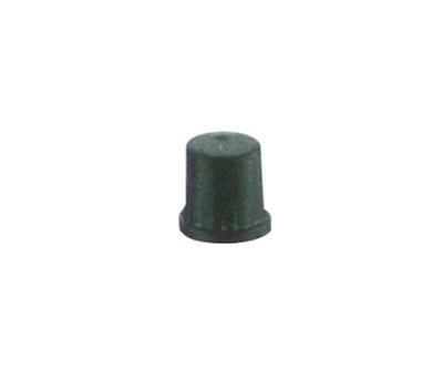 Valve Cap-Plastic