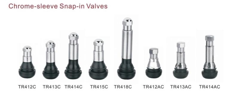 Tubeless Tire Metal Valve Tr509 for Auto