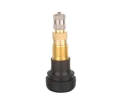 Dcv601 Brass Tire Valve