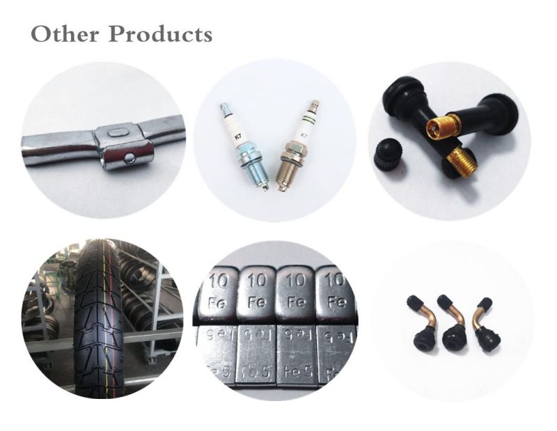 Tubeless Tire Metal Valve Tr509 for Auto