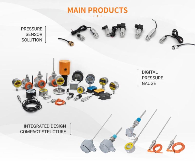 China Manufacturer Digital Tire Pressure Gauge for Hot Sell