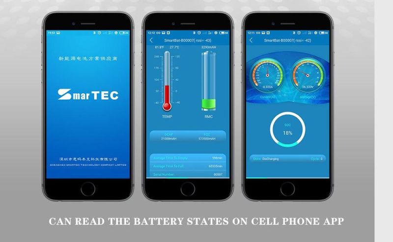 Smart BMS 4s 8s 10s 12s 14s 15s for LiFePO4 Battery 12V 24V 100A/120A/150A/200A with Bt/Uart/RS485/Canbus/Smbus and Cell Balance Function