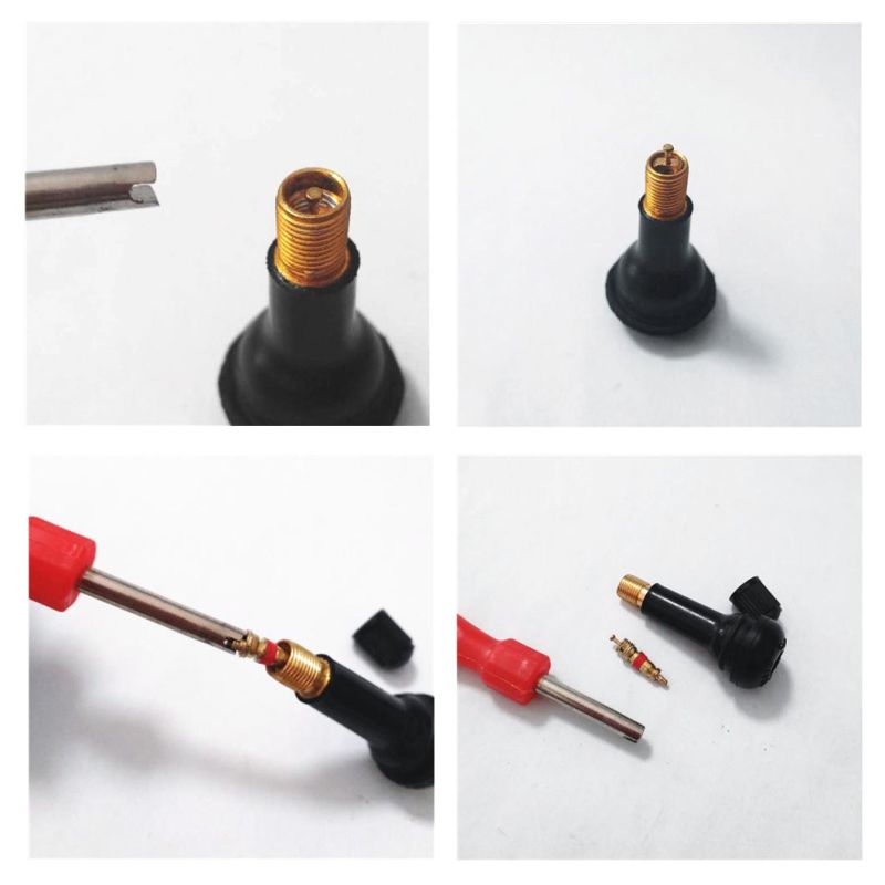 Tubeless Tire Metal Valve Tr509 for Auto